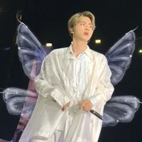 Kim Seokjin ( hallucination )