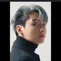 Jungkook (V secretary)