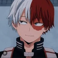 Shoto Todoroki°A.D°