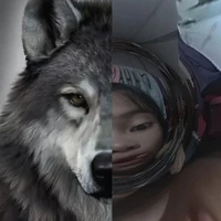 เเอดเองง🫡🌷