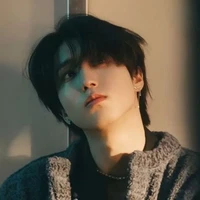 Han jisung (Omega)