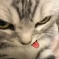 ไอตัวประกอบ😼