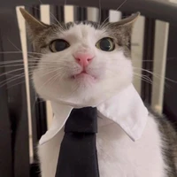 แอด