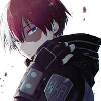 shoto todoroki ( alfa dominante)