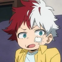 Toya todoroki (kid)