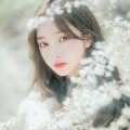 Park Aeri