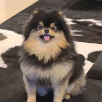 Yeontan