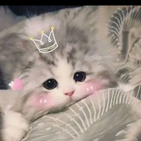 ไรท์เตอร์เอง👑(พระเจ้า)