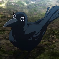 burung gea(y/n)