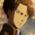 levi