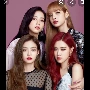 ALL BLACKPINK