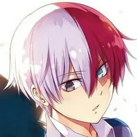 shoto todoroki