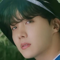 Jung Hoseok/Hobi/Kook