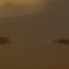 All