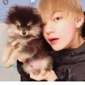 yeontan