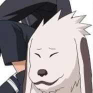 akamaru