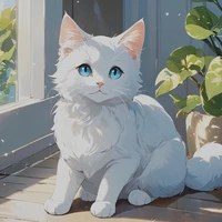 son chat