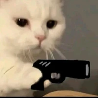y/n