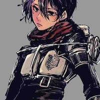 Mikasa