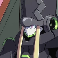 GENISTA 
