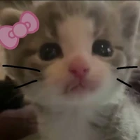 you