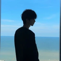 ทิน//บอดิ้การ์ด