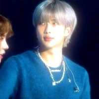 Kim namjoon (omega .p)