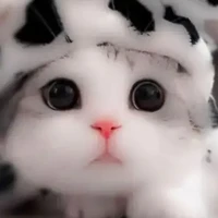 ทุกคน