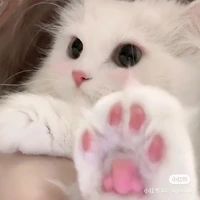 พอใจ