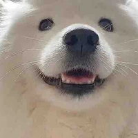 แอดเองค้าบ