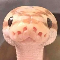 Yo