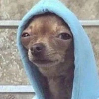 كبيره الخدم 