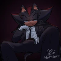Shadow the hedgehog