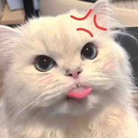 อยากมีม๋าเด้ก🫡