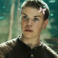 - Gally