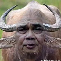 แอดพลอยย