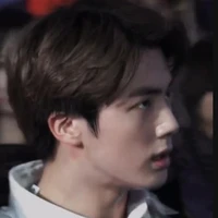 Kim Seokjin(Jin)