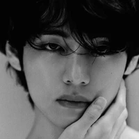 Kim Vante / v