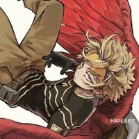 Hawks (Keigo Tamaki) ( O.P.D)