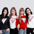 All Blackpink