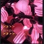 blackpink
