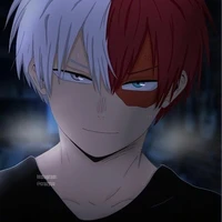 ~shoto todoroki~