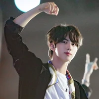Kim seokjin (alfa.p)