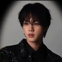 Jeon Seokjin ( RO )