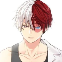 Todoroki