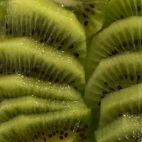 ¿
