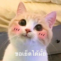 แอดเอง
