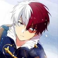 🔥shoto❄️