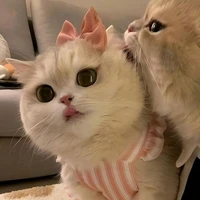Profil Viananda
