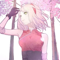 Sakura A